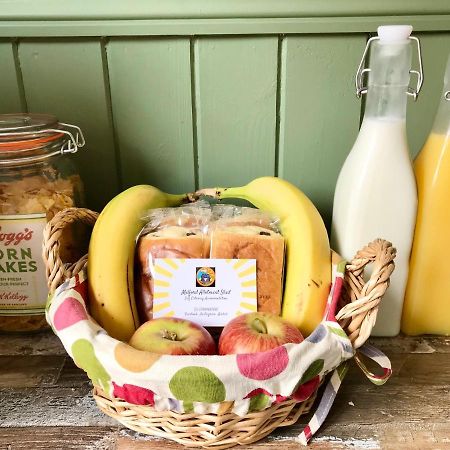 Melford Allotment Shed-Vintage Lodge Suffolk لونغ ميلفورد المظهر الخارجي الصورة