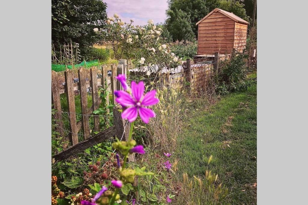 Melford Allotment Shed-Vintage Lodge Suffolk لونغ ميلفورد المظهر الخارجي الصورة